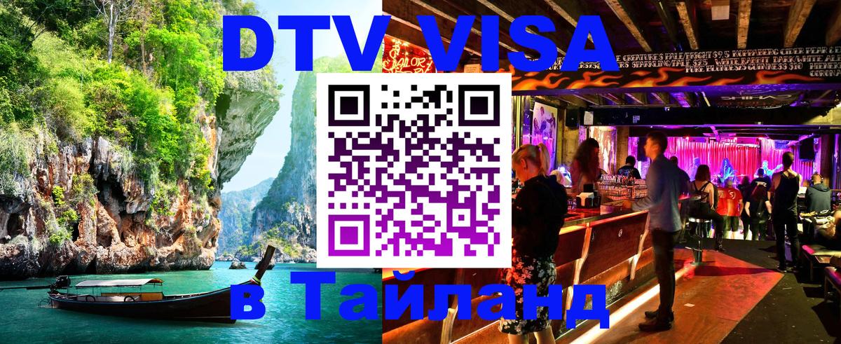 Оформление DTV визы под ключ: стоимость и тарифы, только загранпаспорт - Домодедово  09.01.2026 